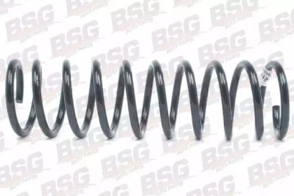 bsg bsg30305016